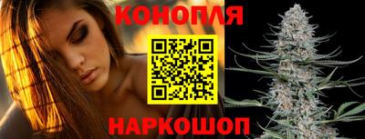 стаф Рязань